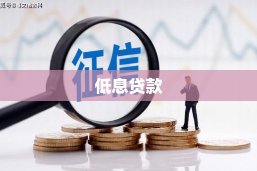 岱山低息贷款