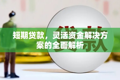 岱山短期贷款，灵活资金解决方案的全面解析