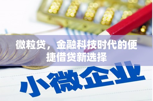 岱山微粒贷，金融科技时代的便捷借贷新选择