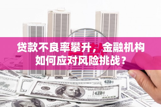 岱山贷款不良率攀升，金融机构如何应对风险挑战？