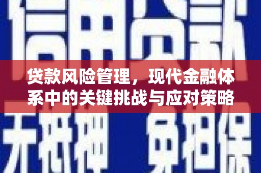 岱山贷款风险管理，现代金融体系中的关键挑战与应对策略
