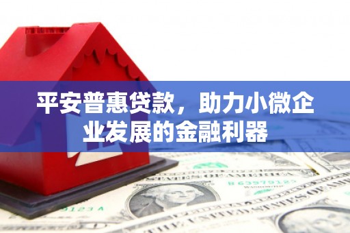 岱山平安普惠贷款，助力小微企业发展的金融利器