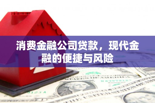 岱山消费金融公司贷款，现代金融的便捷与风险