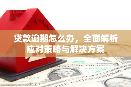 岱山贷款逾期怎么办，全面解析应对策略与解决方案