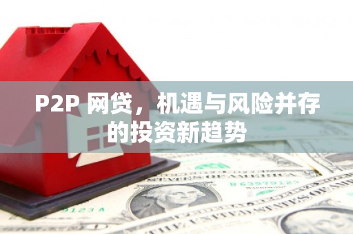 岱山P2P 网贷，机遇与风险并存的投资新趋势
