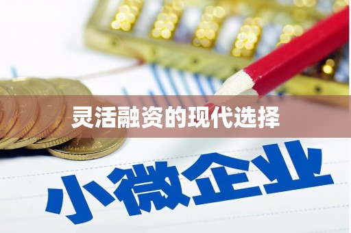 岱山灵活融资的现代选择