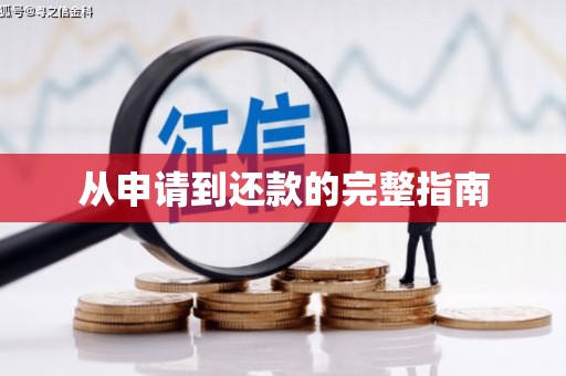 岱山从申请到还款的完整指南