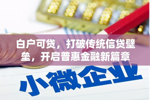 岱山白户可贷，打破传统信贷壁垒，开启普惠金融新篇章