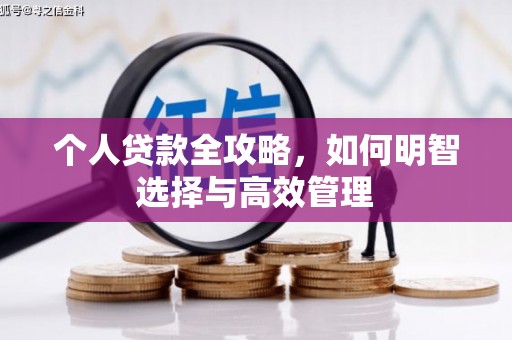 岱山个人贷款全攻略，如何明智选择与高效管理