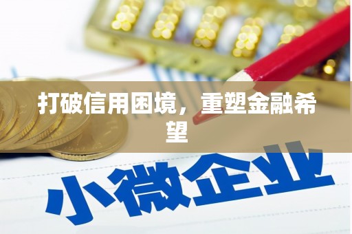 岱山打破信用困境，重塑金融希望