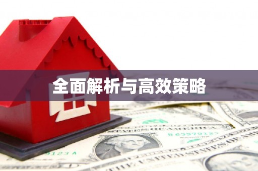 岱山全面解析与高效策略