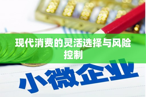 岱山现代消费的灵活选择与风险控制