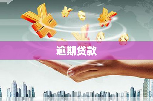 岱山逾期贷款