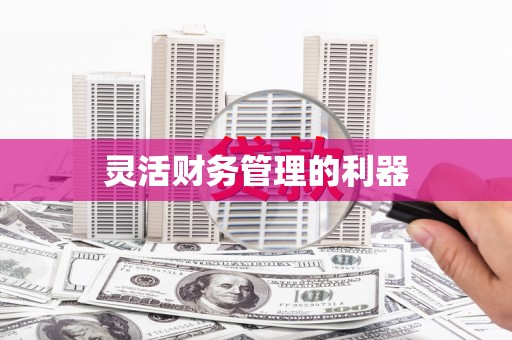 岱山灵活财务管理的利器