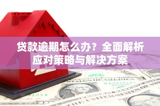 岱山贷款逾期怎么办？全面解析应对策略与解决方案