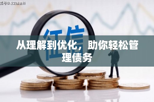 岱山从理解到优化，助你轻松管理债务