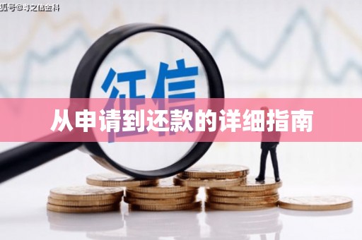 岱山从申请到还款的详细指南