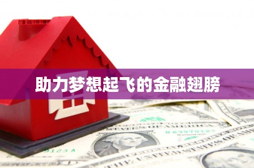 岱山助力梦想起飞的金融翅膀