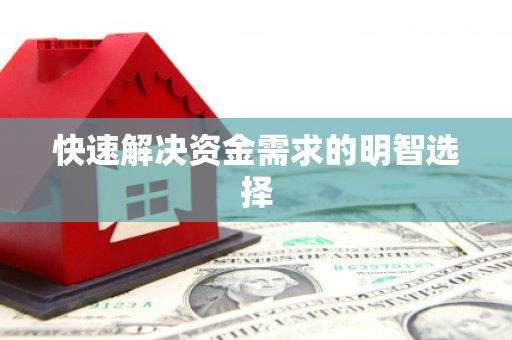 岱山快速解决资金需求的明智选择