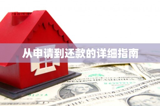 岱山从申请到还款的详细指南