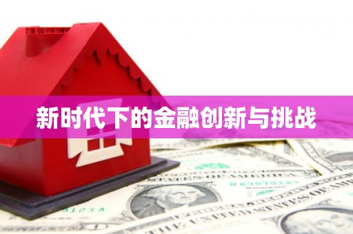 岱山新时代下的金融创新与挑战
