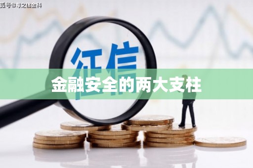 岱山金融安全的两大支柱