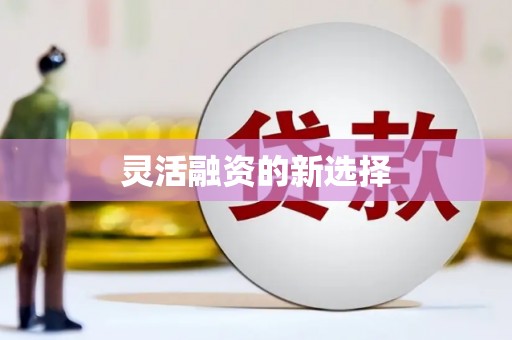 岱山灵活融资的新选择