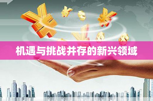 岱山机遇与挑战并存的新兴领域