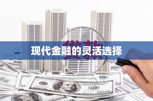岱山现代金融的灵活选择