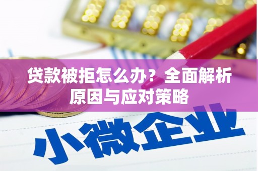 岱山贷款被拒怎么办？全面解析原因与应对策略