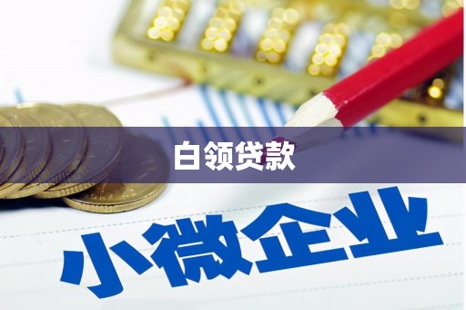 岱山白领贷款