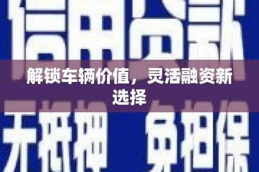 岱山解锁车辆价值，灵活融资新选择