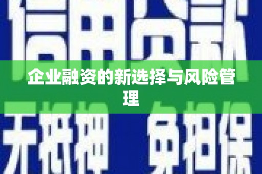 岱山企业融资的新选择与风险管理