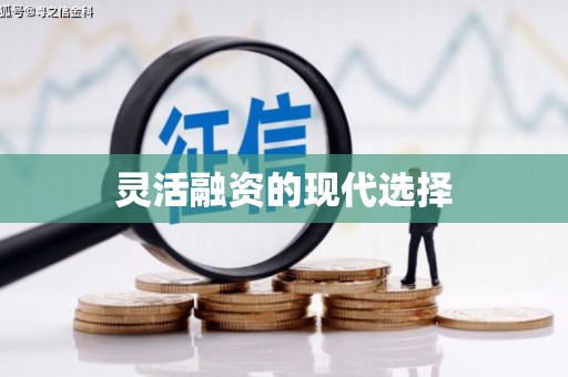 岱山灵活融资的现代选择