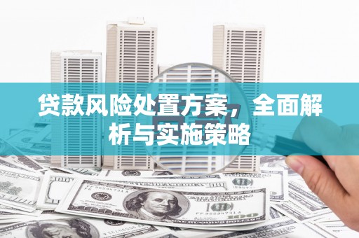 岱山贷款风险处置方案，全面解析与实施策略