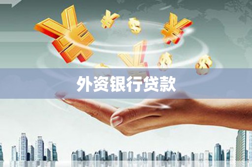 岱山外资银行贷款