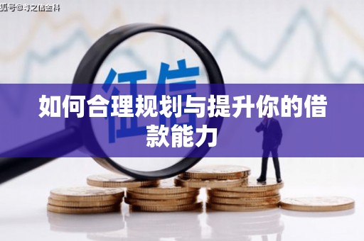 岱山如何合理规划与提升你的借款能力