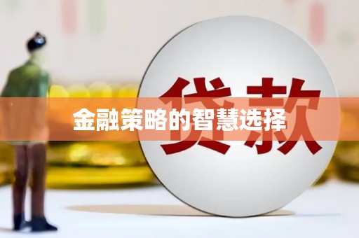 岱山金融策略的智慧选择