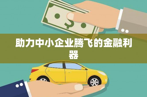 岱山助力中小企业腾飞的金融利器