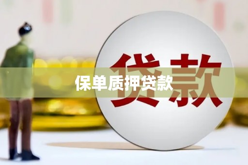 岱山保单质押贷款