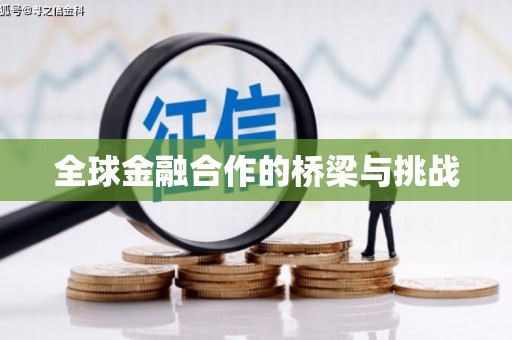 岱山全球金融合作的桥梁与挑战