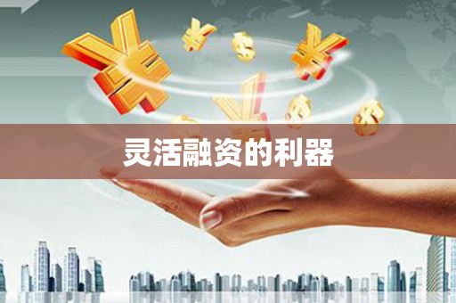 岱山灵活融资的利器