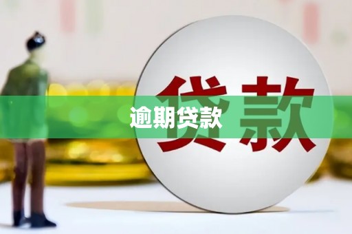 岱山逾期贷款