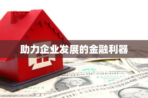 岱山助力企业发展的金融利器