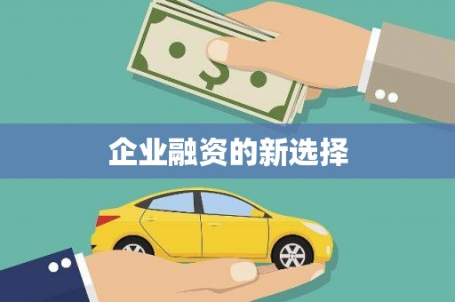 岱山企业融资的新选择