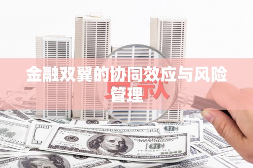 岱山金融双翼的协同效应与风险管理