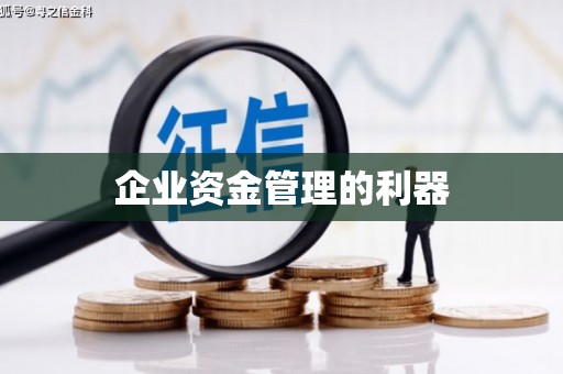 岱山企业资金管理的利器