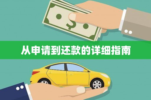 岱山从申请到还款的详细指南