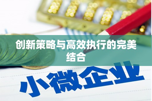 岱山创新策略与高效执行的完美结合