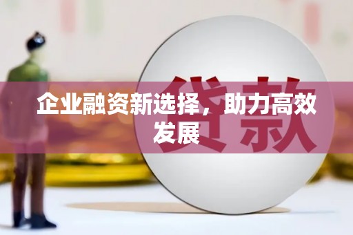 岱山企业融资新选择，助力高效发展
